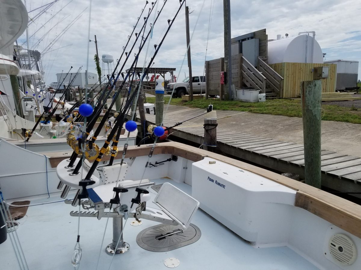 Outer banks fishing charter