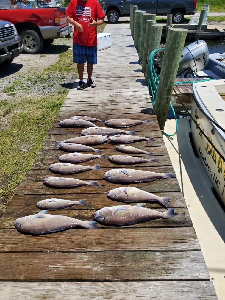 Outer Banks Charter Fishing for