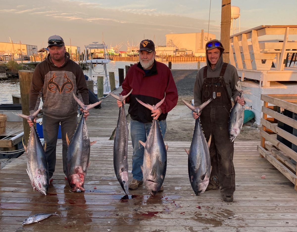 Tuna Bite is still On! - Outer Banks Fishing Charters