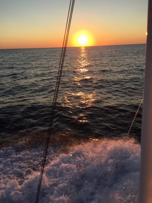 Outer Banks Sportfishing Charters