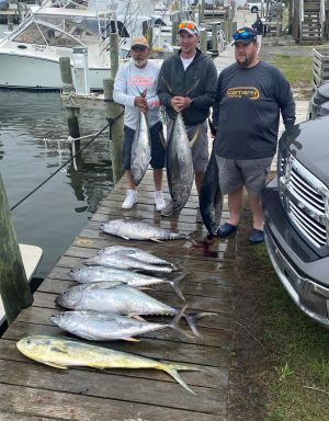 Offshore action is great now