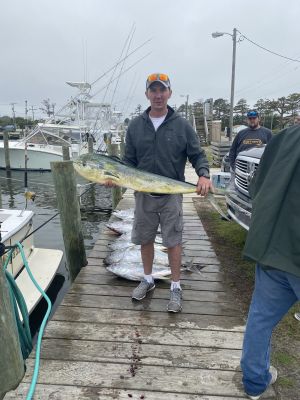 Nice bull mahi