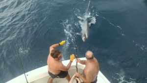 Outer Banks Fishing Charters